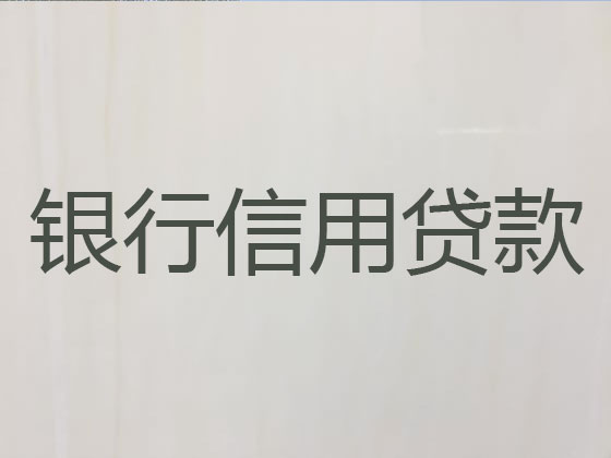 桐城市贷款公司-银行信用贷款